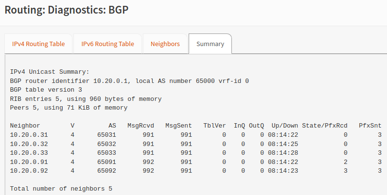 BGP peering status